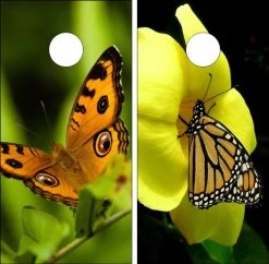 Butterflies Version 2 Cornhole Wraps - Set Of 2