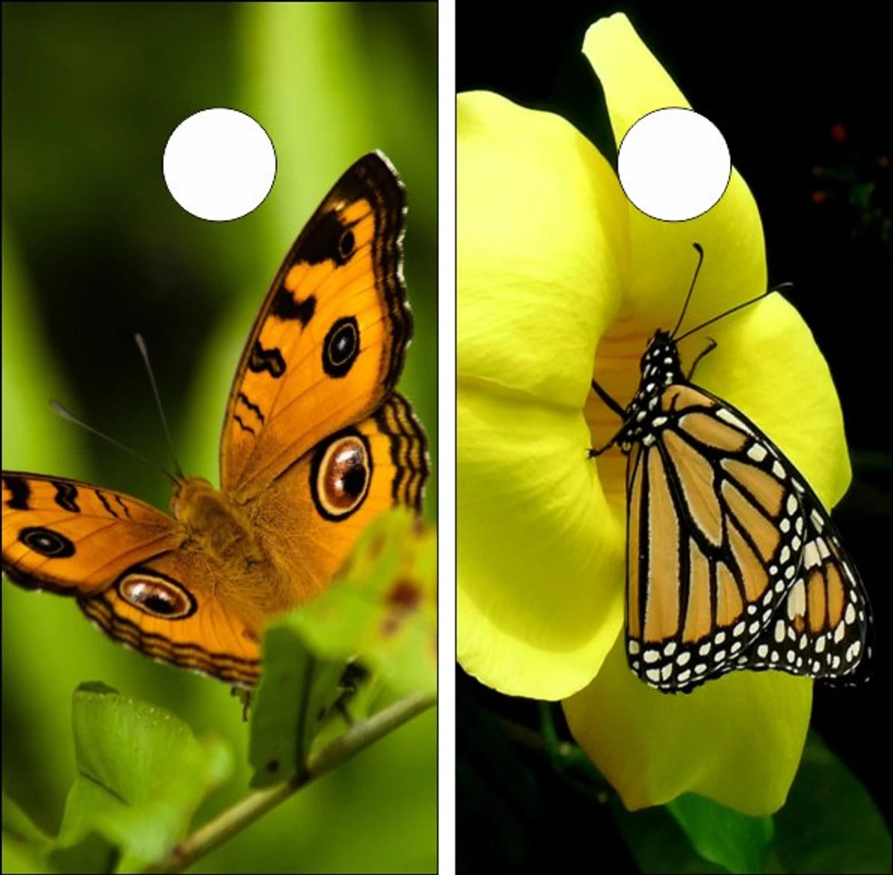 Butterflies Version 2 Cornhole Wraps - Set Of 2 3 Butterflies Version 2 Cornhole Wraps - Set Of 2
