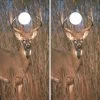 Deer In The Wild Cornhole Wraps - Set Of 2 -Pro Cornhole Shop Deer in Grass 16942.1445036082