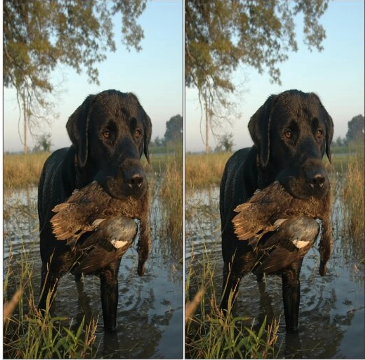 Duck Hunting Cornhole Wraps - Set Of 2 3 Duck Hunting Cornhole Wraps - Set Of 2