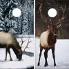 Elk In Snow Cornhole Wraps - Set Of 2 -Pro Cornhole Shop Elks 3 preview 07472.1509751796