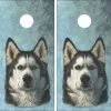 Husky Portrait Cornhole Wraps - Set Of 2 -Pro Cornhole Shop Husky Portrait 42222.1705778791