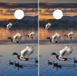 Mallard Ducks Cornhole Wraps - Set Of 2
