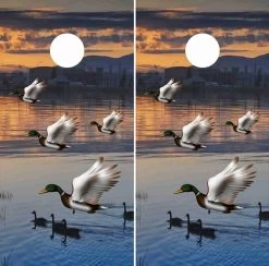 Pro Cornhole Shop -Pro Cornhole Shop Mallard Ducks 49509 04016.1680118578