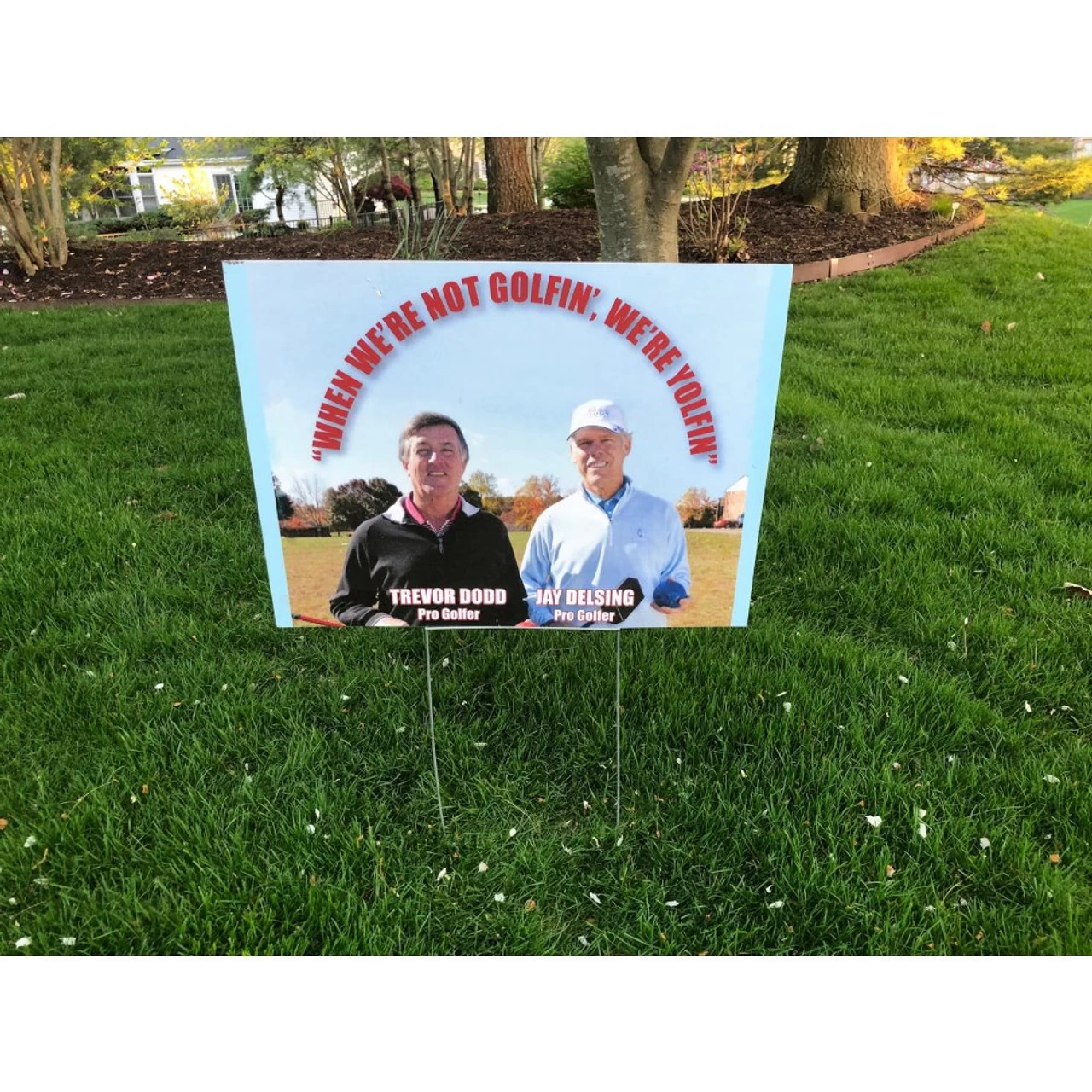 Yolf 6 Hole Game 5 Yolf 6 Hole Game - Image 3