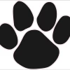 Dog Paw Cornhole Decal