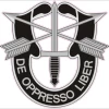 Green Beret Special Forces Cornhole Decal -Pro Cornhole Shop Screen Shot 2022 02 04 at 12.15.53 PM 01616.1644005807