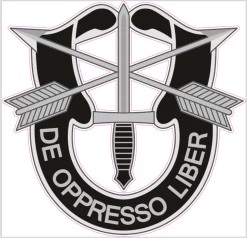 Green Beret Special Forces Cornhole Decal