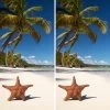 Starfish Version 3 Cornhole Wraps - Set Of 2
