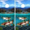 Trout Fish Underwater Mountain Scene Cornhole Wraps - Set Of 2 -Pro Cornhole Shop Trout Fish Underwater Mountain Scene 48080.1712692382
