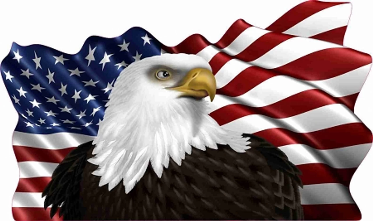 Eagle Flag Cornhole Decal 3 Eagle Flag Cornhole Decal